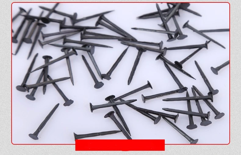 Wholesale Shoe Nails Sofa Nails Square Grill Blue Nails Bulk Shoe Nails Furniture Conical Nails 13mm Short Nails