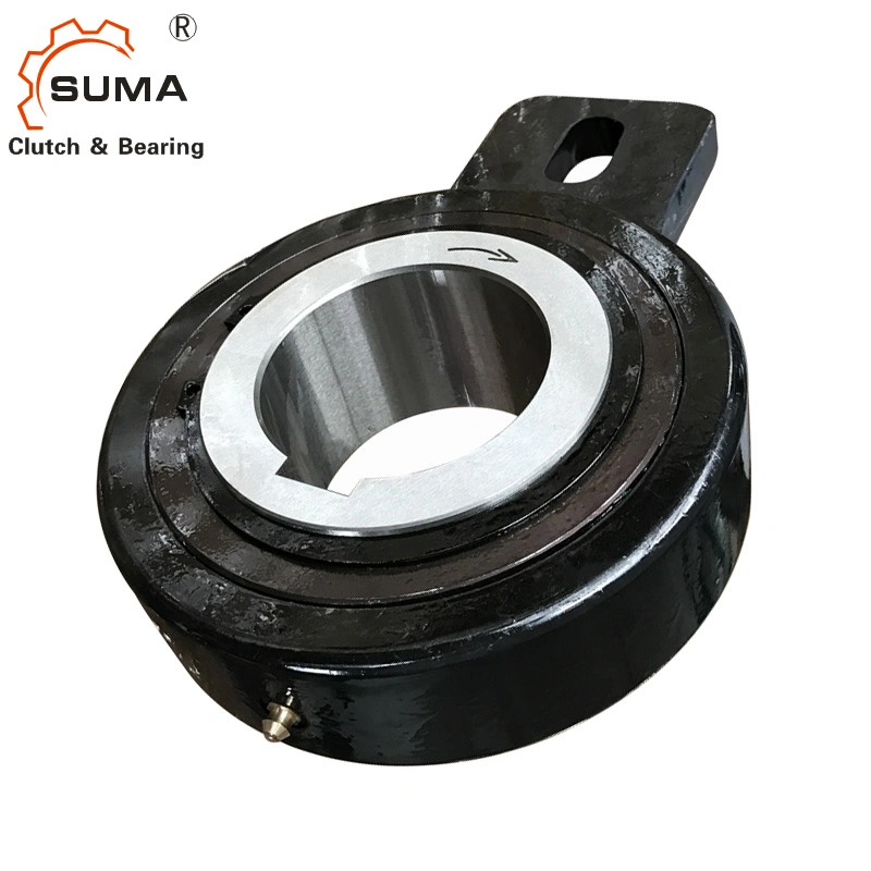 Bseu Series One Way Cam Clutch for Backstop Application