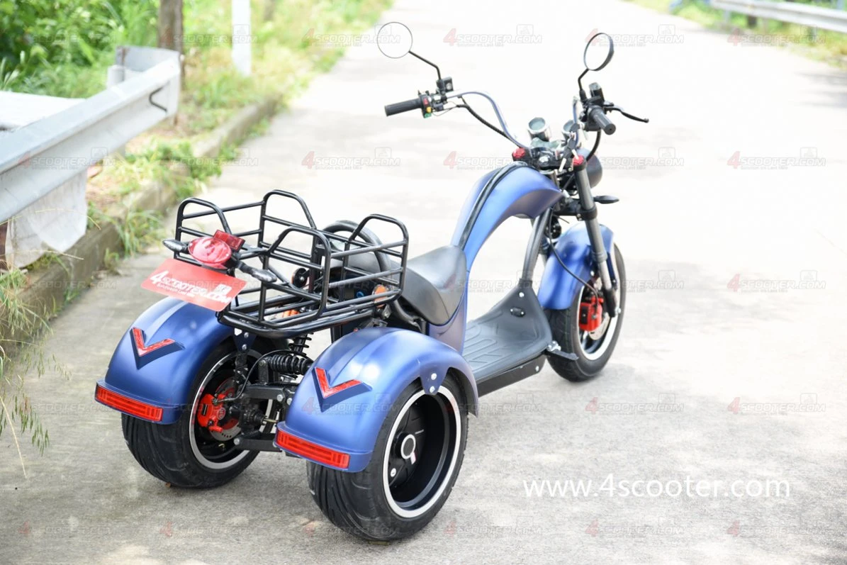 EU Warehouse Wuxing Factory Road Legal EEC Coc Electric Scooter Three Wheel Motorcycle 3200W 80km/H on OEM