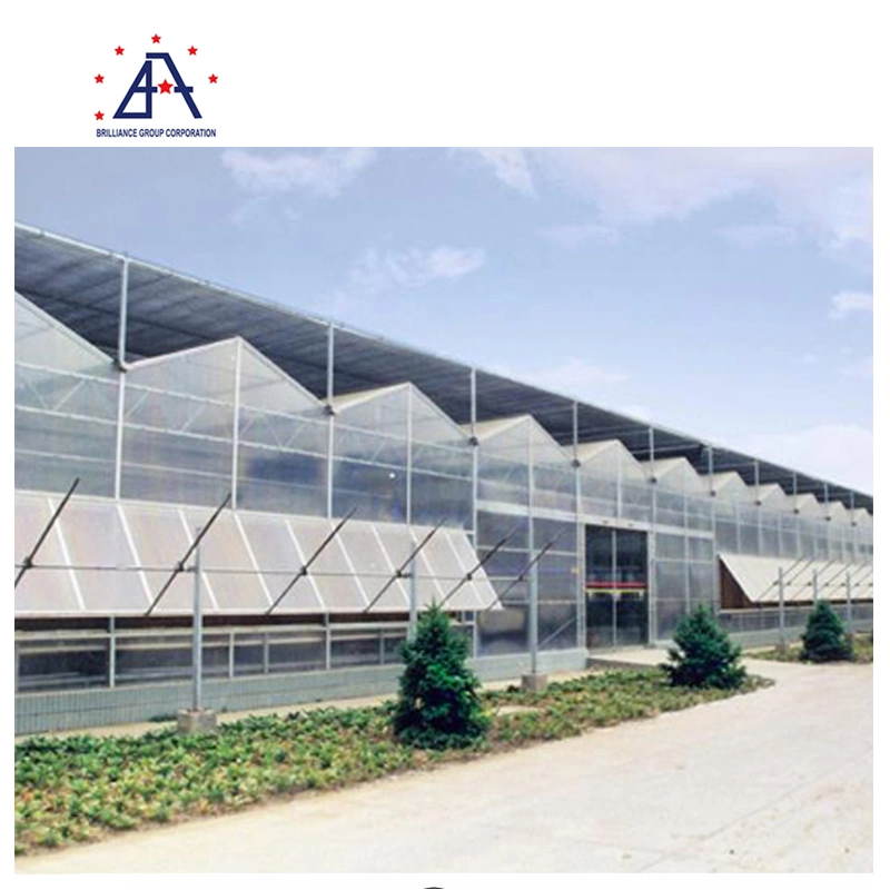 Hot Sales Agriculture Greenhouse Aluminium Profile