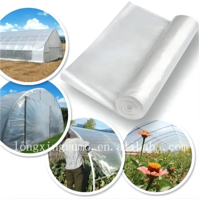 Tunnel Plastic China Greenhouse Film Agriculture Green House Equipment
