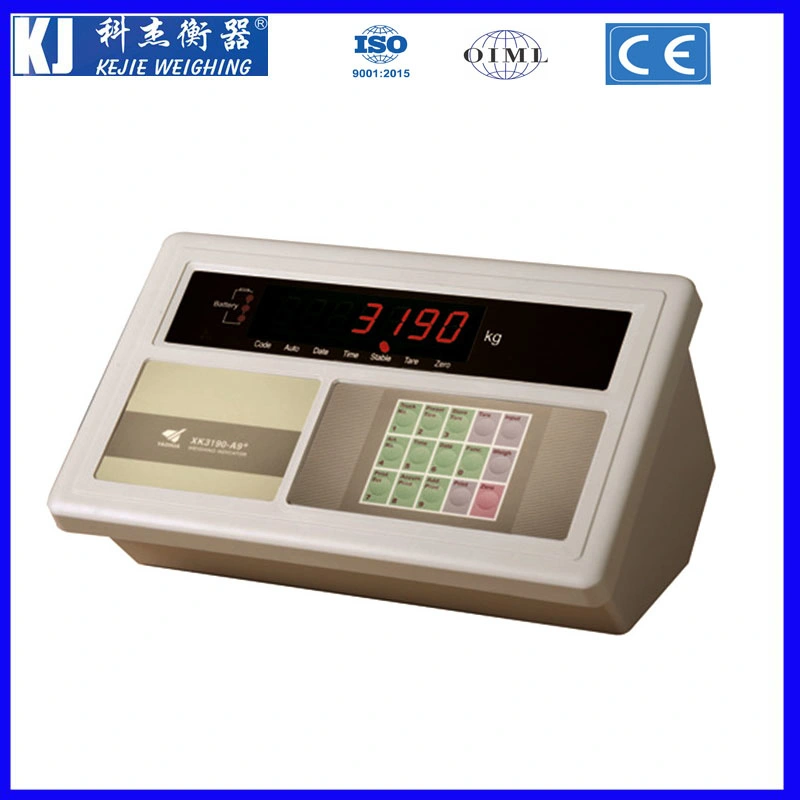 1.2X1.2m Stainless Platform Weighing Scale Floor Scale with Indicator