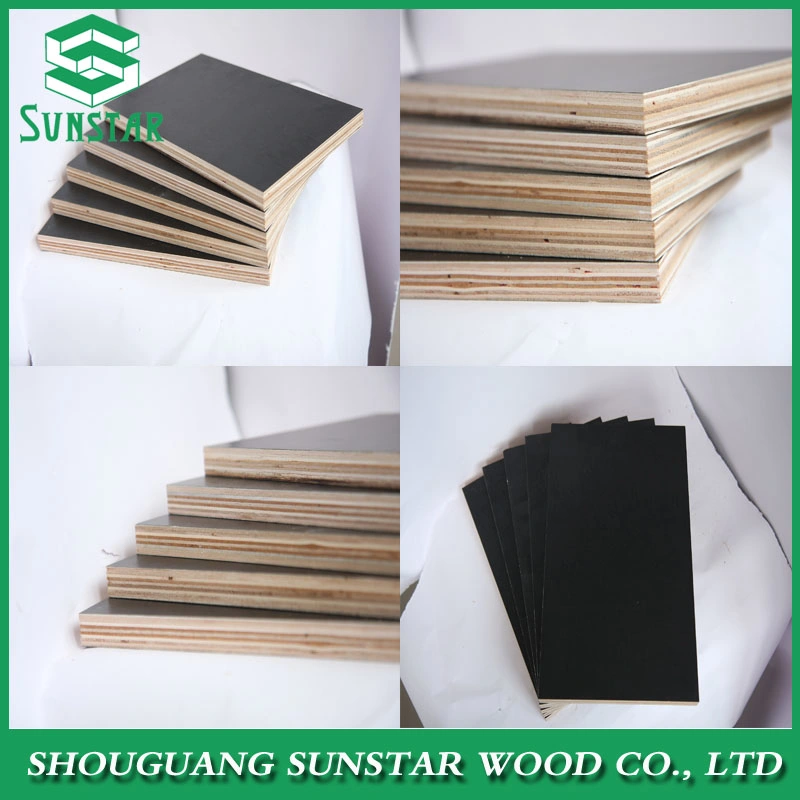 Construction Used Film Faced Plywood /Marine Board