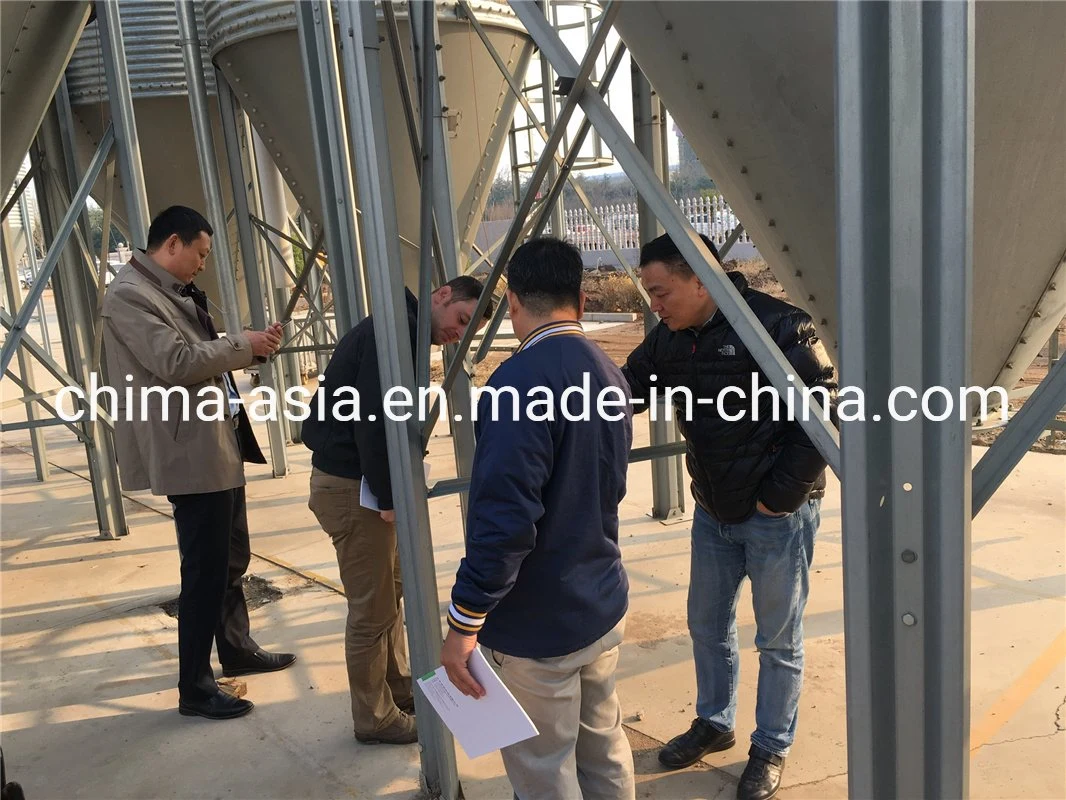 China-Made Galvanized Steel Silo for Pig Farming and Poultry Farming Equipment