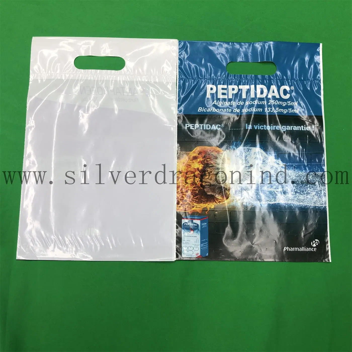 Printed Plastic Gift Bags/Shopping Bags/Grocery Bags with Reinforced Punch Handle