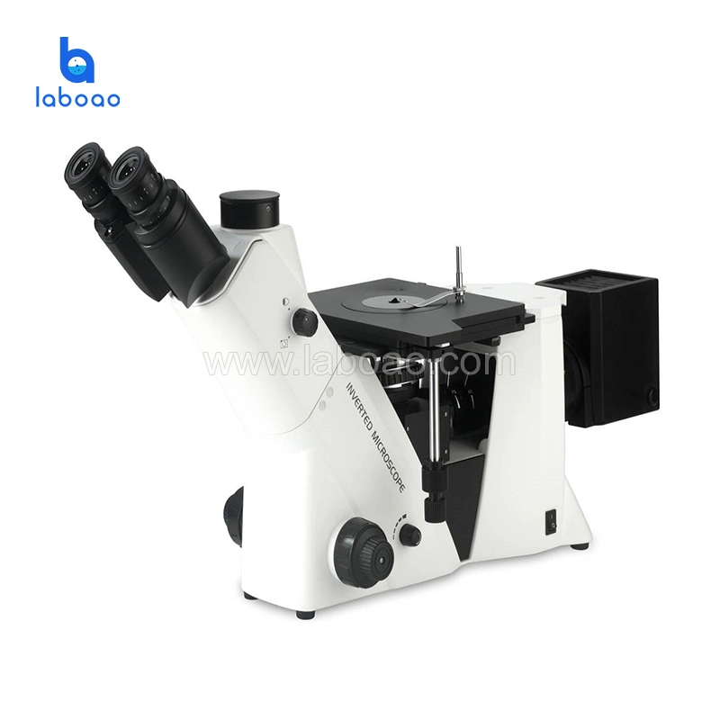 Inverted and Upright Optical Microscope Lab Metallographic Microscope