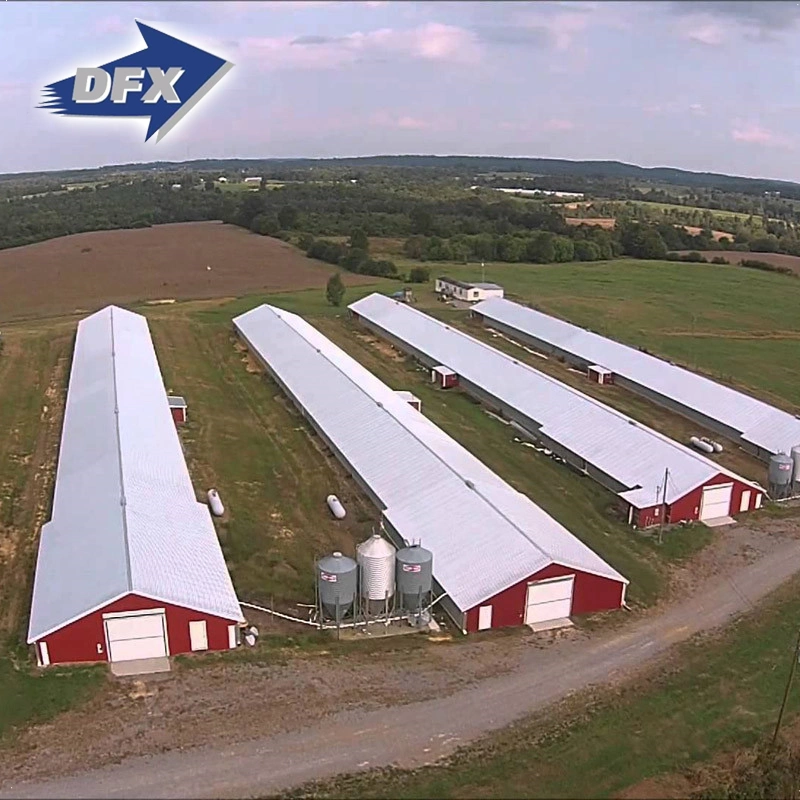 Stahl Struktur Huhn Verwendung Geflügelhaus / Chickend Farm / Broiler Hühnerhaus