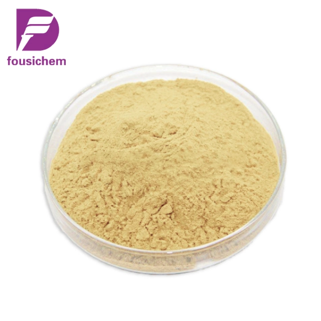 Food Additive Best Price Diastase Enzyme CAS 9000-92-4