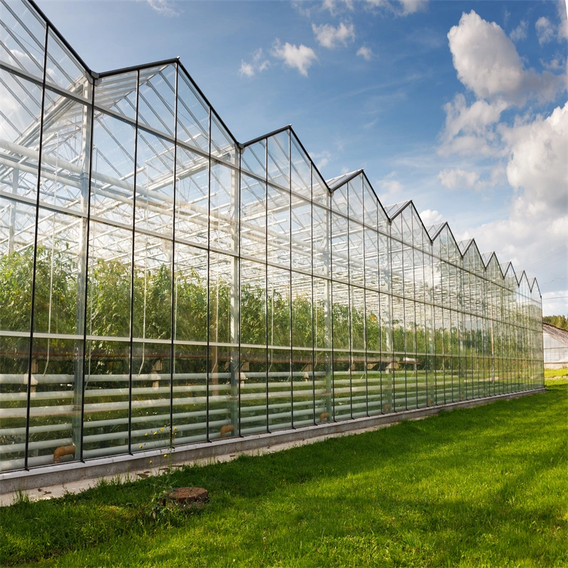 Neue Design-Gebäude Multi-Span Gewächshäuser Rahmen Sonnenraum Stahl Green House