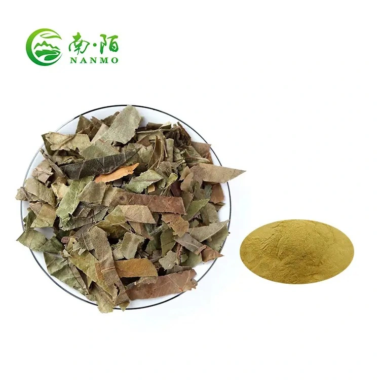 Top Quality Loquat Leaf Plant Extract Pure Natural Powder