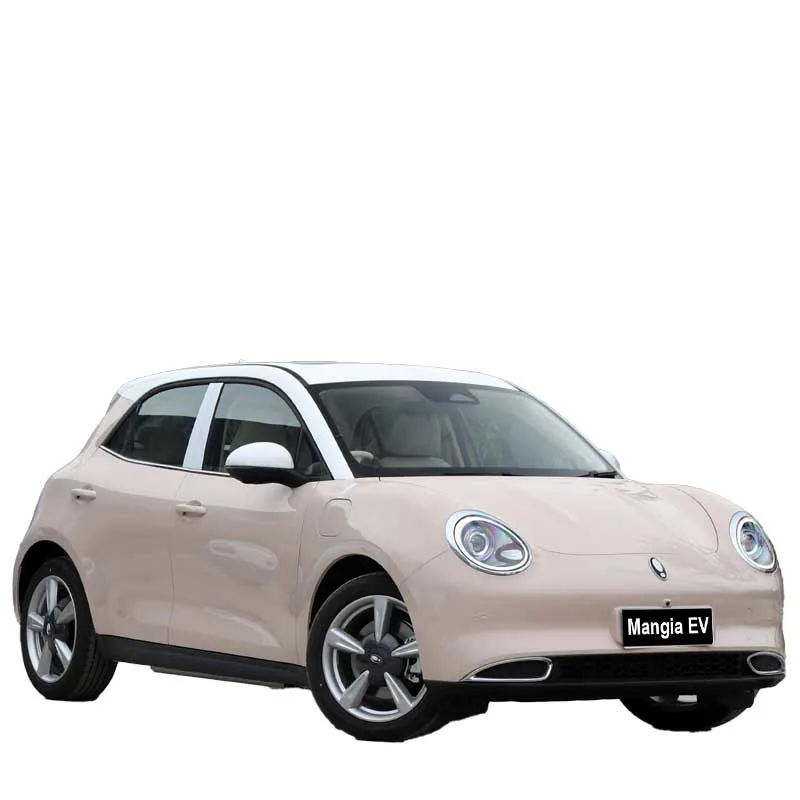 Cute und Compact New Energy Electric Car Ora gute EV Wiederaufladbare High-Quality New Electric Car