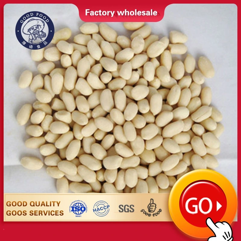 Fresh Groundnut Raw Peanuts Kernel and Blanched Peanut Kernel for Sale