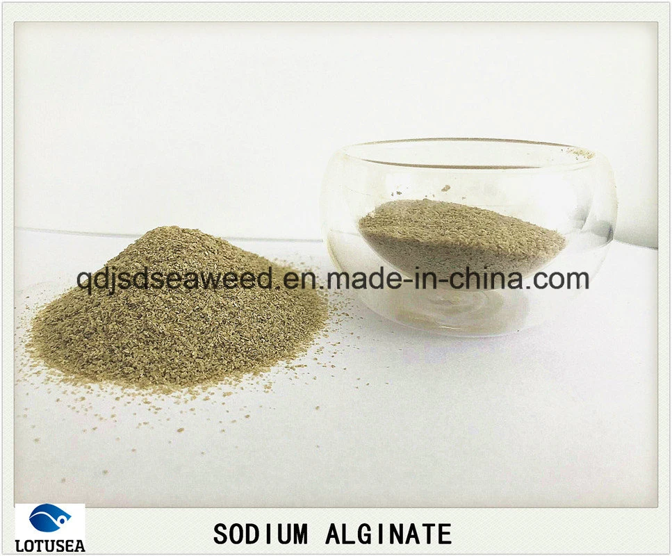 Agent épaississant Alginate de sodium Textille Grade 800cps