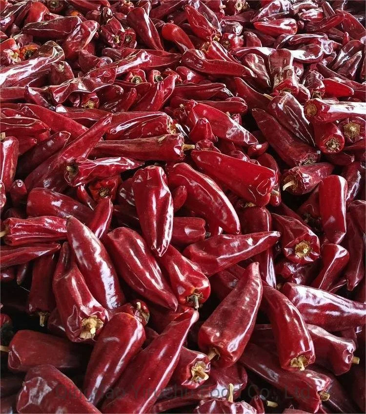 La Chine Piment rouge sec pour les importateurs de Chili