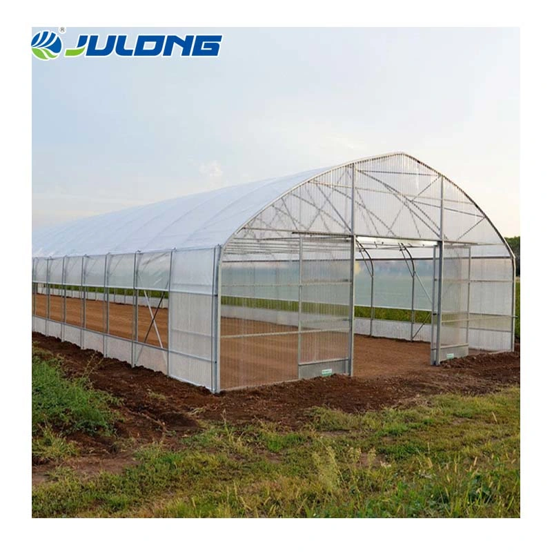Agricultural Single Span Tunnel Plastic Film Greenhouse with Irrigation and Hydroponic Growing System