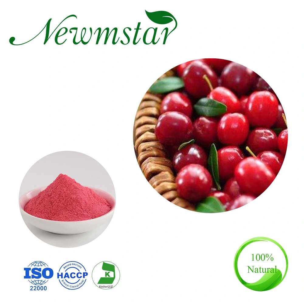 Good for Urinary System Plant Extract 5%-25%PAC Cranberry Extract 10: 1cranberry Extract