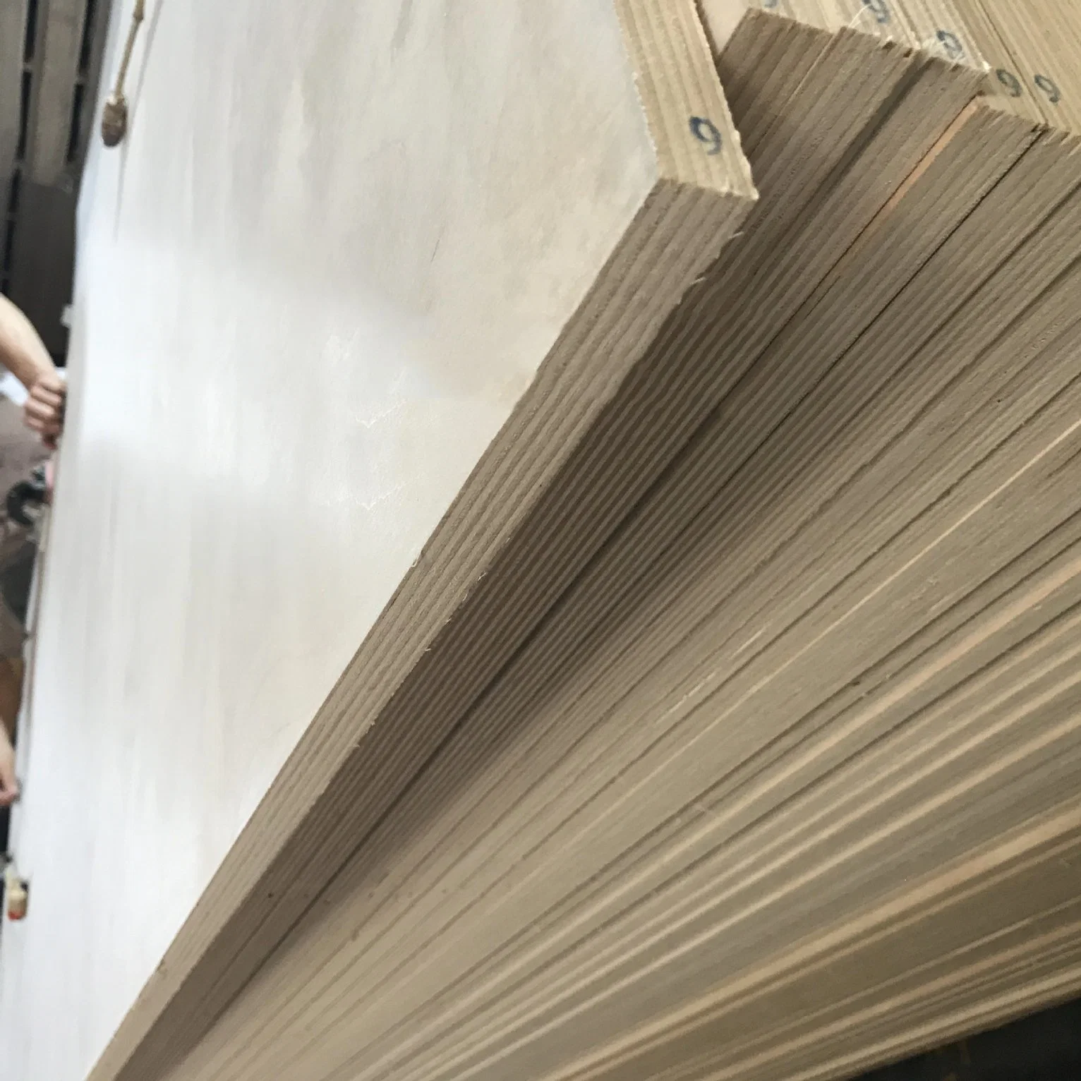 Customized Factory Red Poplar Acajou Birch Plywood Sheet Wood 9mm 12mm 18m Wood