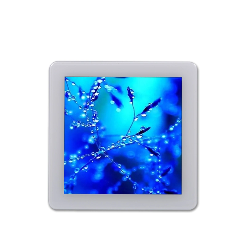 Módulo de pantalla LCD TFT cuadrada de 480*480 de 3,95 pulgadas con I2C Pantalla táctil capacitiva