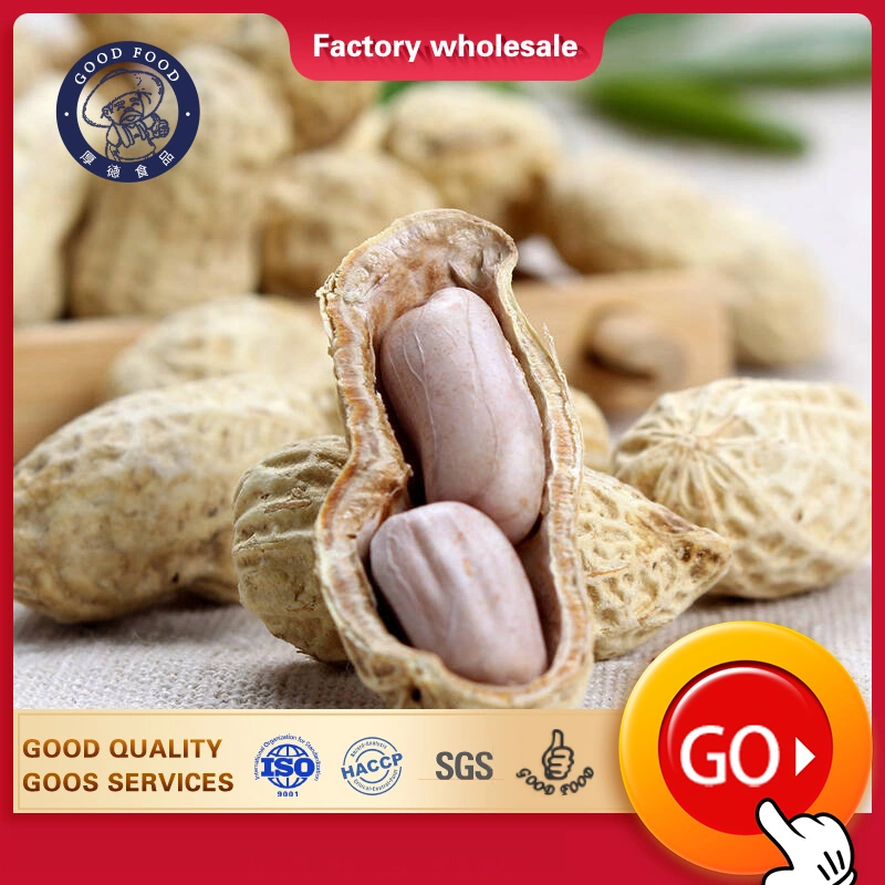 High Quality Roasted Grade a Premium Organic Garlic Taste Roasted Peanut