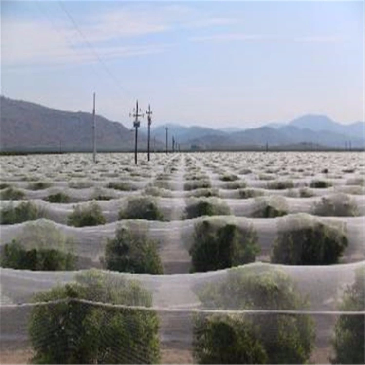 HDPE Plastic Vegetable Protection Insect Mesh Screen Net for Greenhouse Insect Net