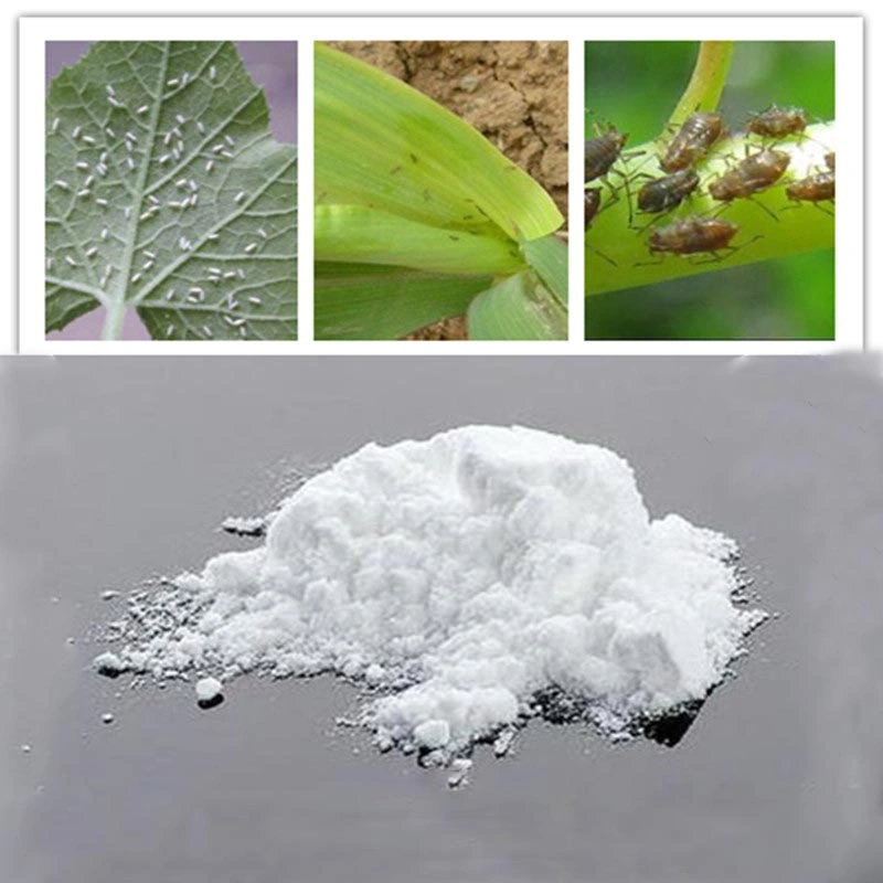 Imidacloprid 95%-98%Tc Insecticide in Agriculture