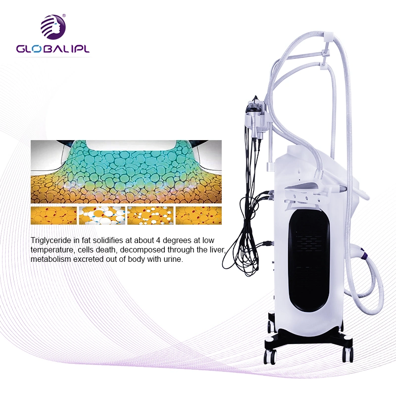 5 pièces à main Fat Freeze Lipo facial Lift Beauté Cryotherapy Slimming Machine de congélation de la graisse