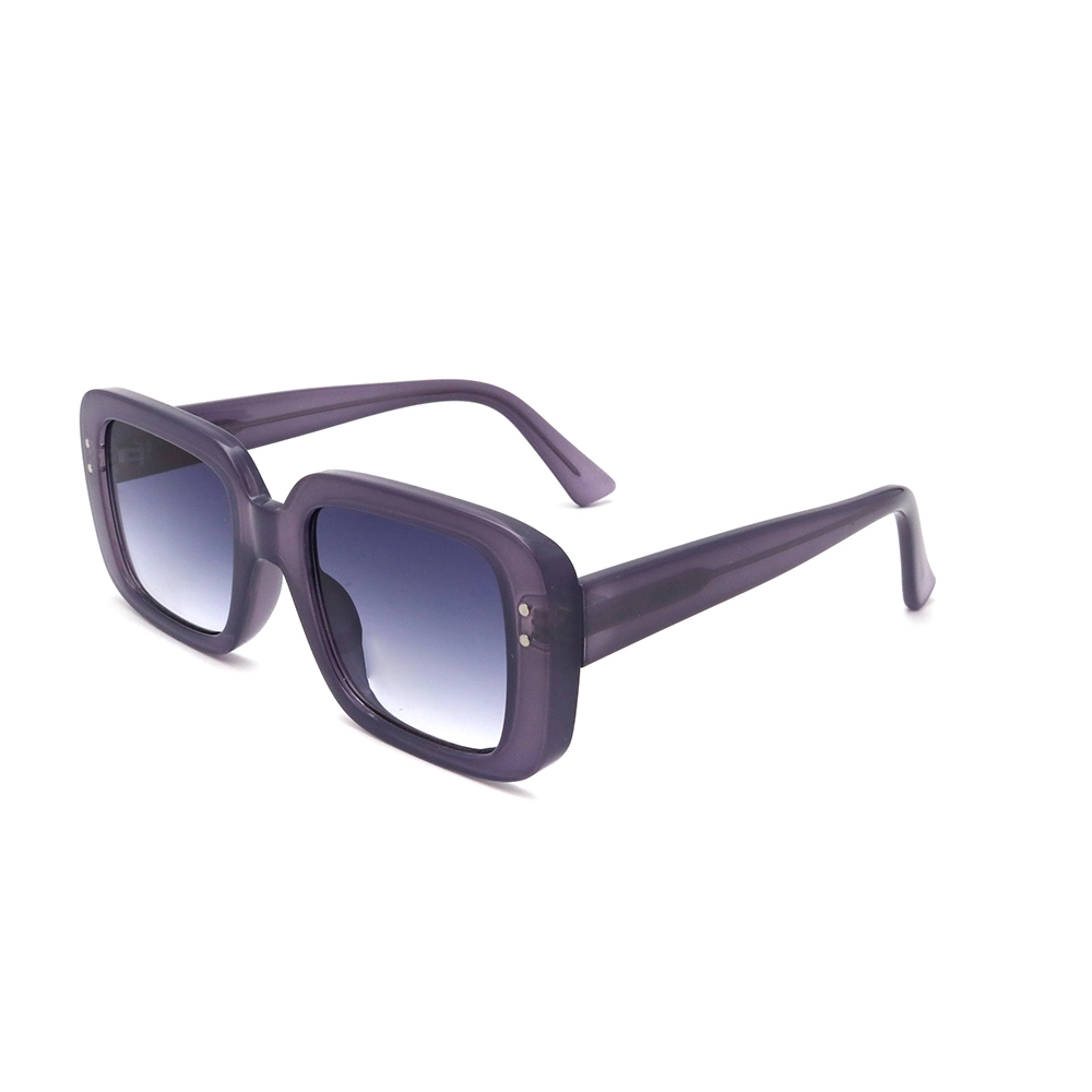 Оптом CP Injection Temple Purple Cuccii Luxury Tortoiseshell Men Women Солнцезащитные очки