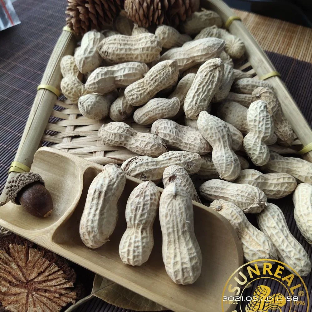 2021 New Season Peanuts/Roasted Peanut in Shell/Virginia