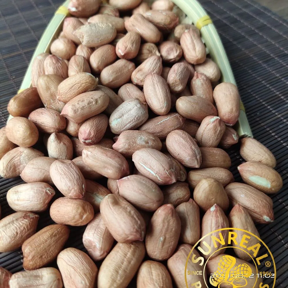 Raw Peanut Kernels Virginia 24/28 China/Reliable Brand/Best Quality