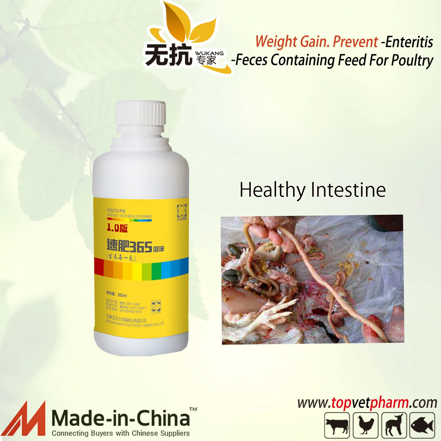 Premium Growth Booster for Broilers Chicken Weight Gain Medicine