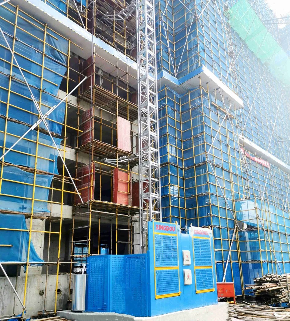 Grúa eléctrica elevador de equipos de construcción del mercado de China
