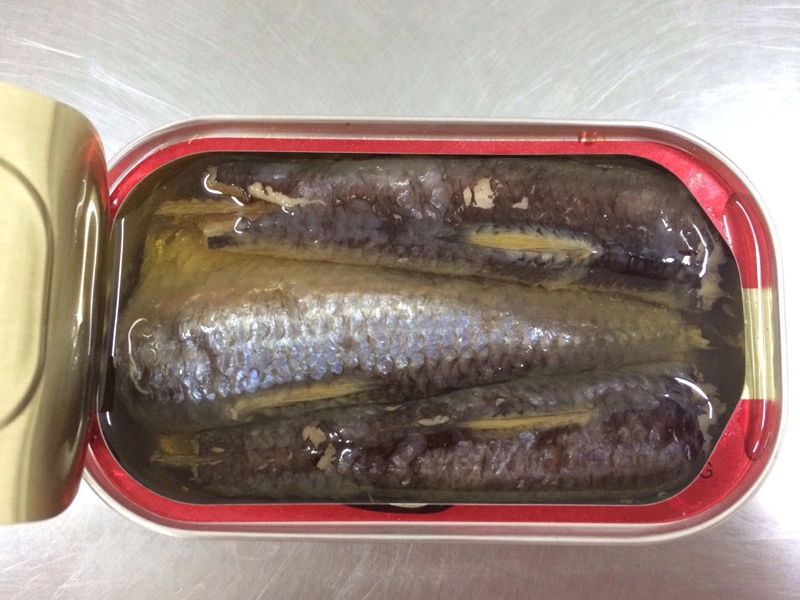 Canned Sardine 155g in Oil Best Canned Sardines From China