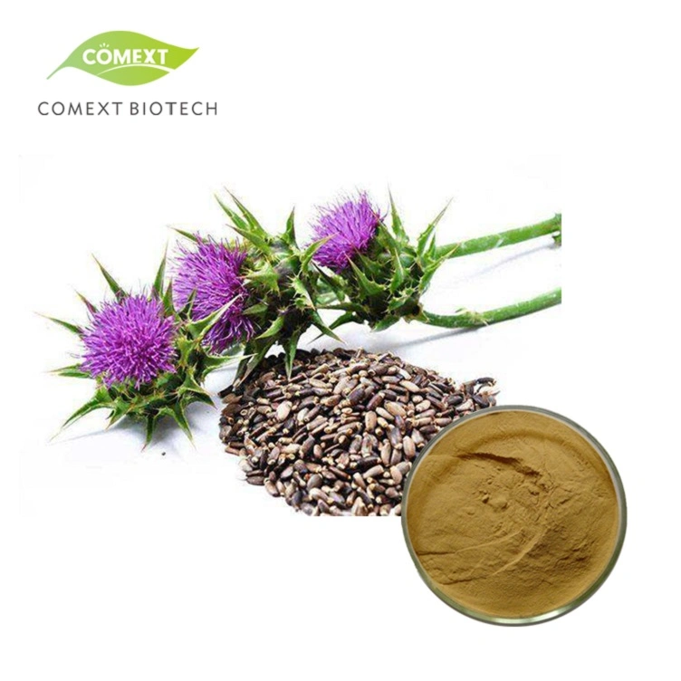 Comext Plante d'Herbe Silybum Marianum Poudre de Graines de Chardon Béni 30% Silybins HPLC UV 40%~80% Soluble dans l'Eau 40% Silymarine Extrait de Chardon-Marie pour la Santé du Foie