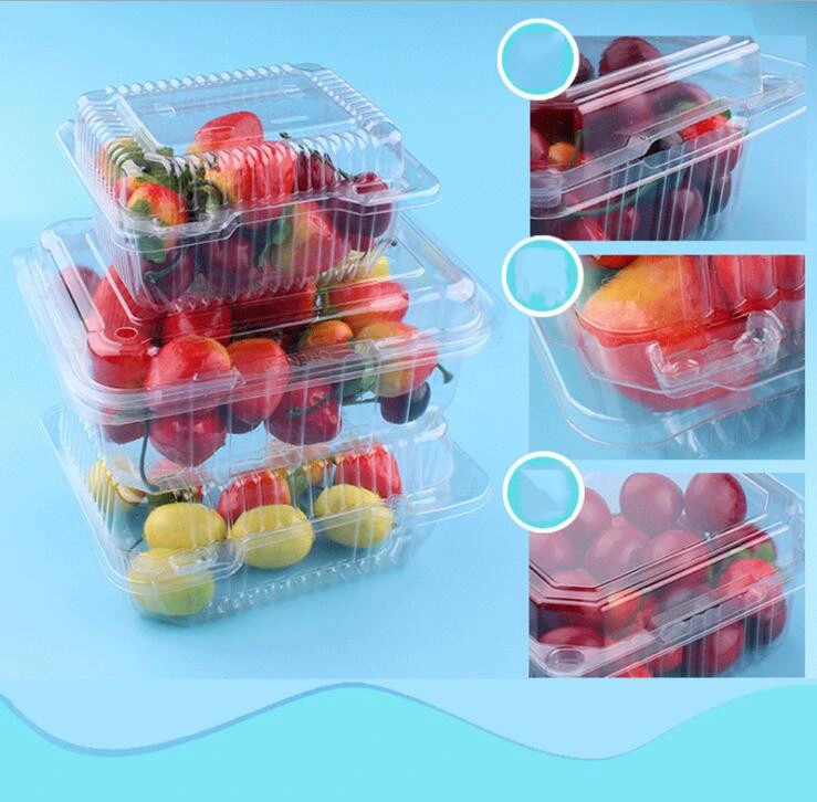 wholesale factory  PET Fruit and vegetable  punnets Food Container with EU regulation