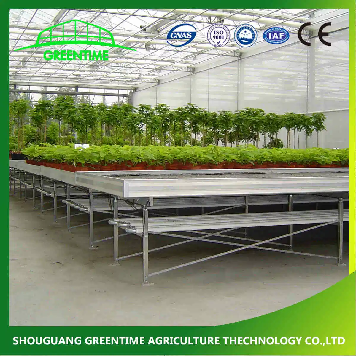 High quality/High cost performance  Commercial Light Deprivation Blackout Greenhouse in Canada