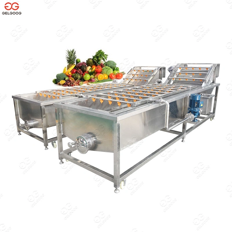 Longan Litchi Rambutan Fruit Washing Drying Line