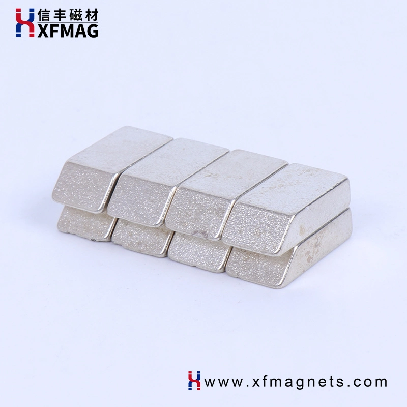 High Performance Sm2co17 Rare Earth Magnets Strong Samarium Cobalt SmCo Hard Magnet