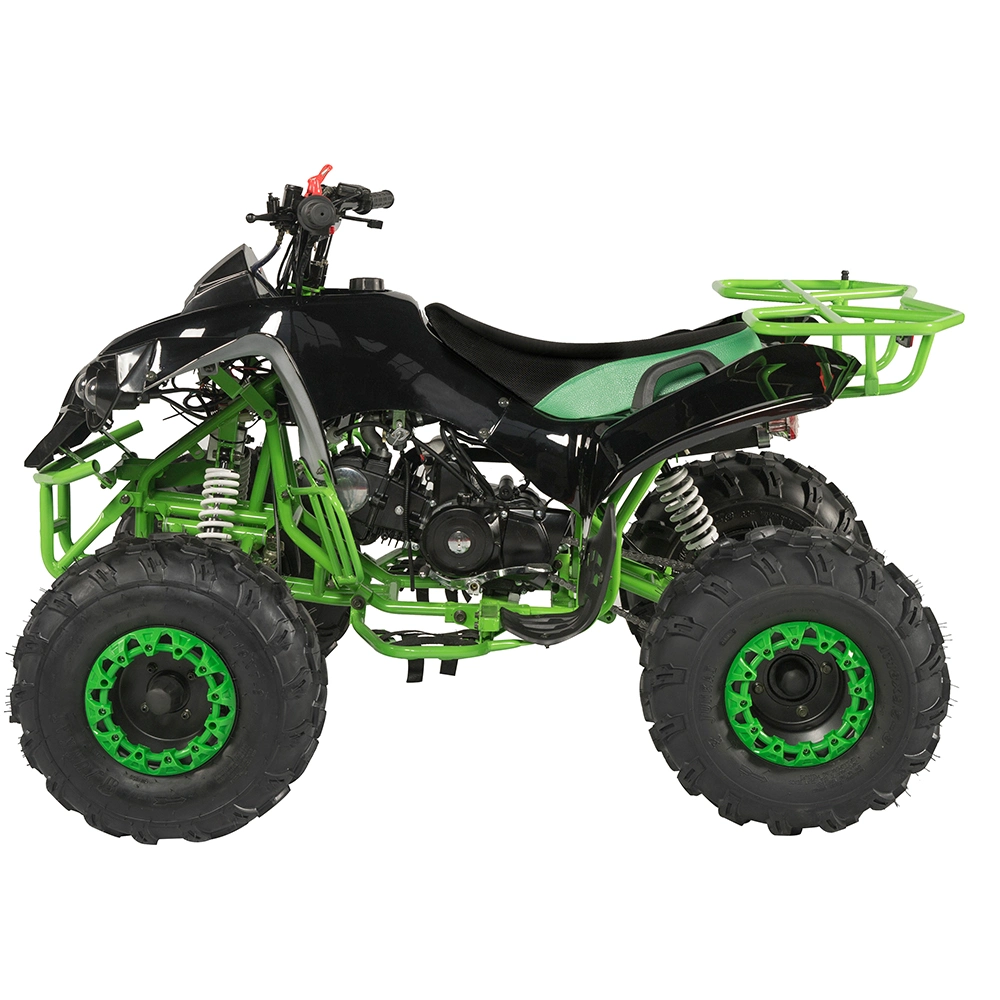 110cc /125cc Quad Bike Kinder Gas Powered ATV