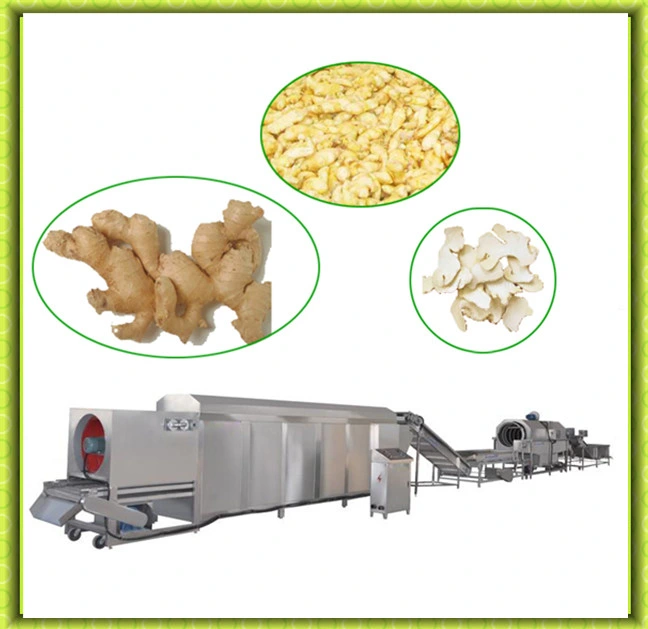 Stainless Steel Automatic Ginger Drying Machine