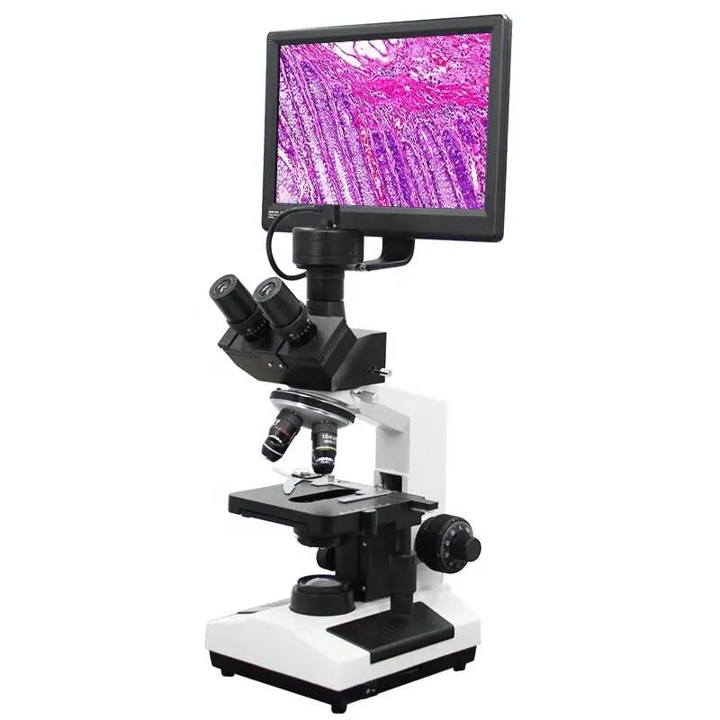 Hot Sale Laboratory Binocular Biological Microscope