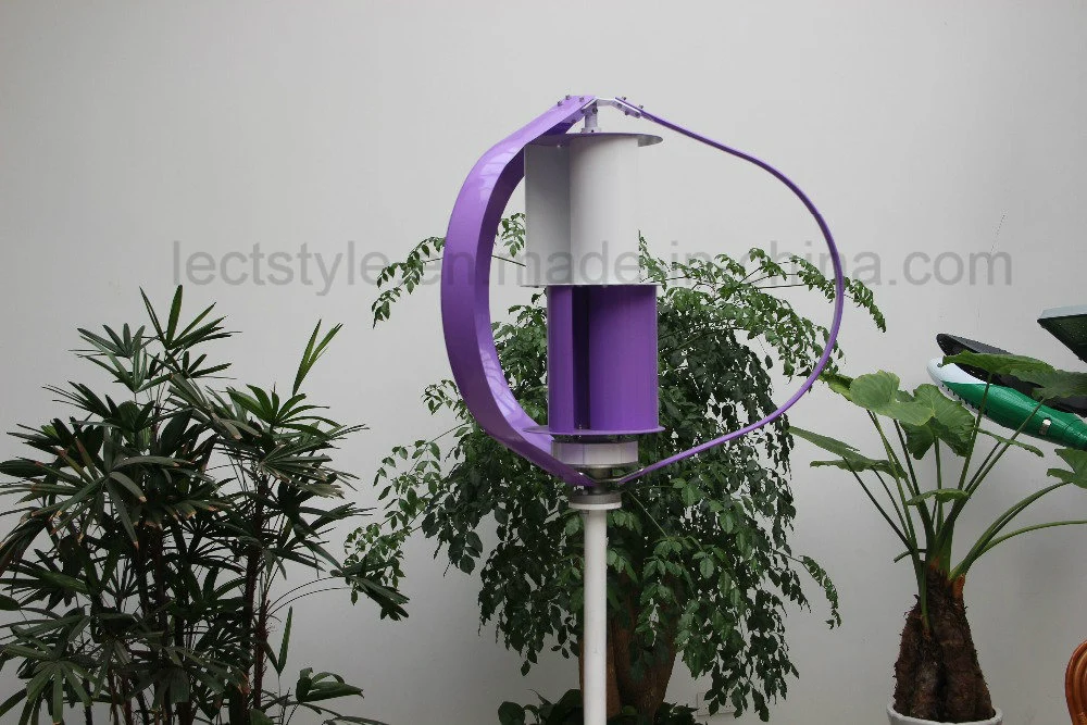 Best Price for Low Noise 100W Vertical Axis Wind Turbine with High Quality