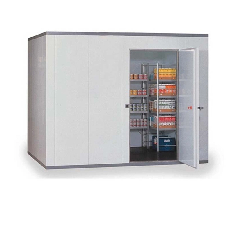 Freezer Cool vegetais frescos frutos do mar de carne Supermercado Alimentar Grande Carga Sala Fria o equipamento de armazenamento