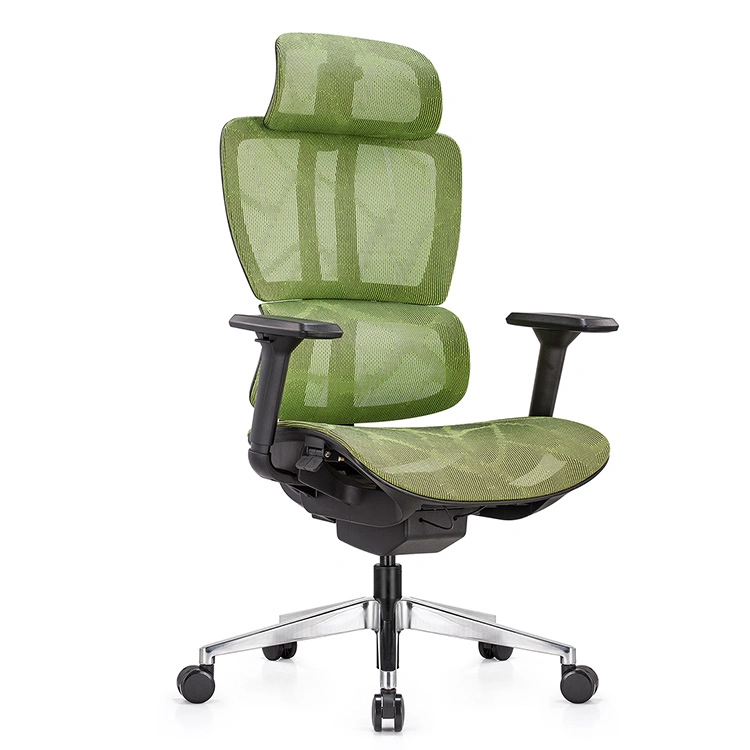 Wholesale/Supplier High quality/High cost performance Adjustable Back Executive Ergonomic Office Chair