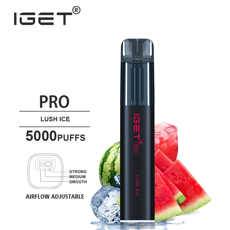 2022 Wholesale/Supplier Disposable/Chargeable Vape Pen Iget PRO 5000puffs