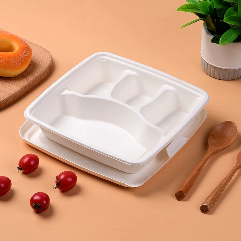 Biodegradable Square Eco-Friendly Compostable Pulp Food Plates Tray