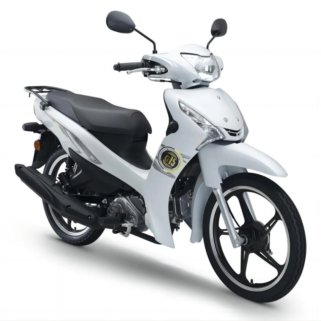 محرك رياضة ذات طاقة عالية بالدراجة البخارية Fn115 Cub Buber Bike