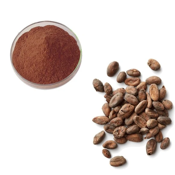 Manufacturer for Cocoa Powdered Extract