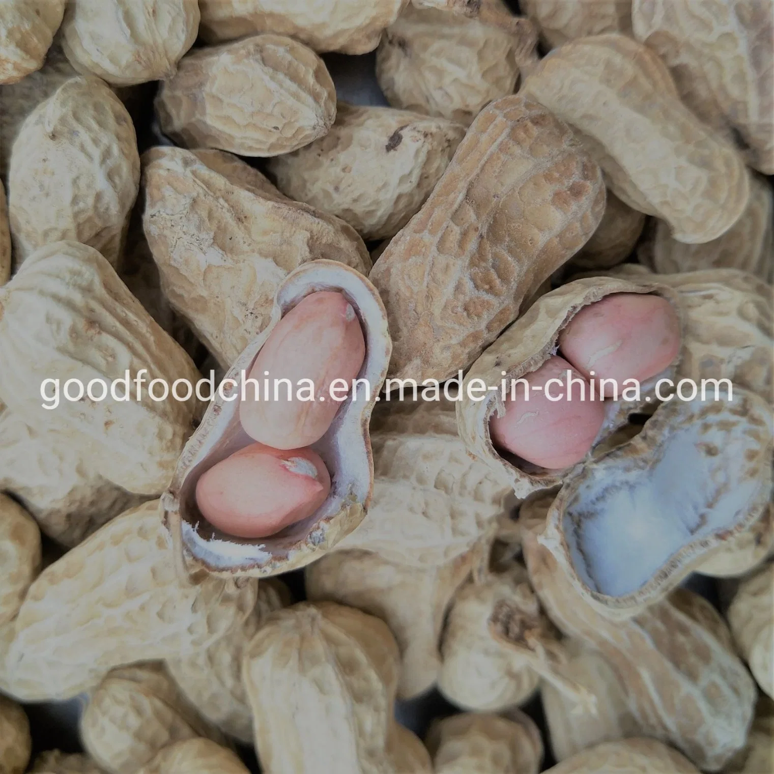 Raw Price Shelled Peanuts, Fresh Peanuts