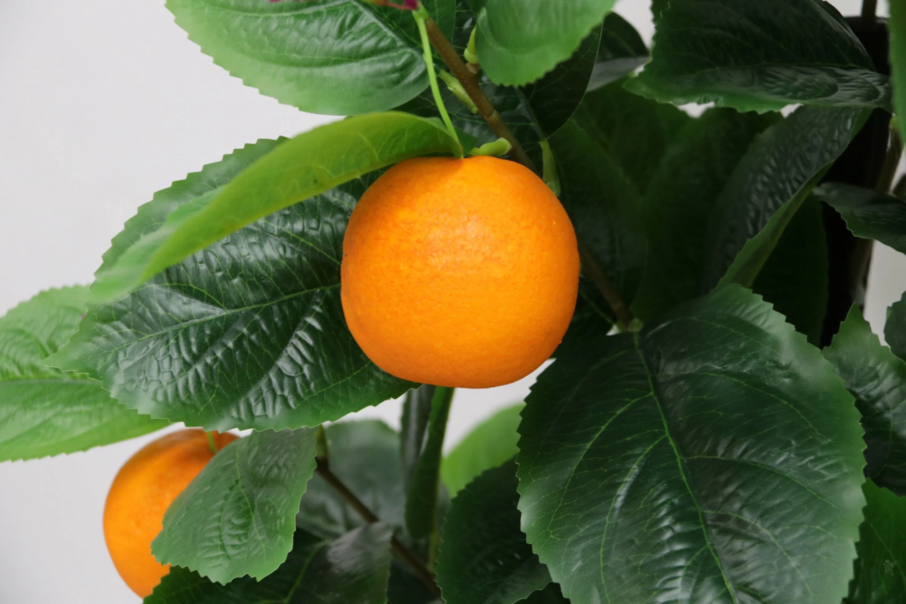 Nearly Nature 14 May All Your Wishes Come True Yellow Orange Tree Customizable Artificial Simulation Decorative Plant Fruit Tree