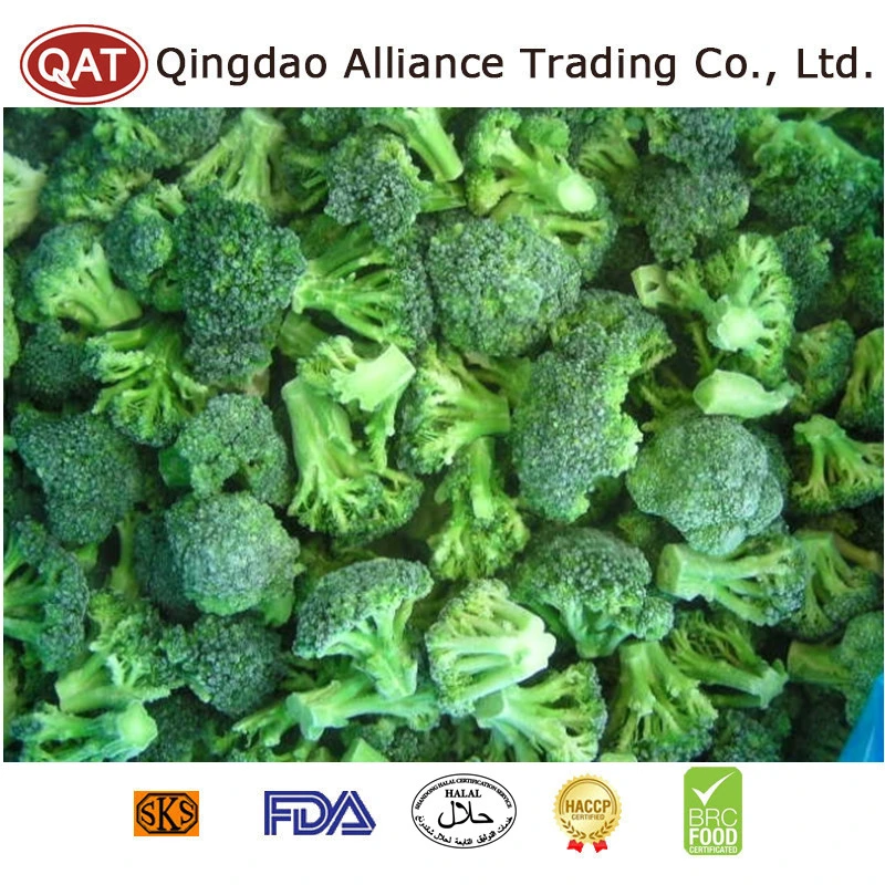 China Organic Frozen Chopped Broccoli Vegetables IQF Crop Green Broccoli Cut for Foodservice Wholesaler